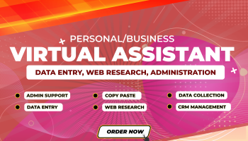 I can do Data entry, Copy paste, Admin support, Data collection, Web research, Data Conversion