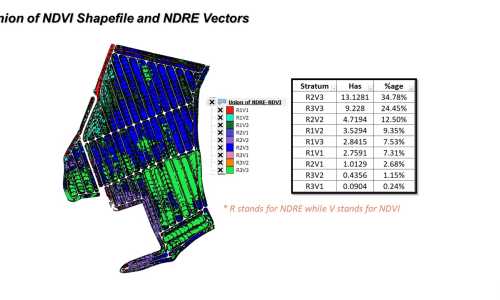 Sampling Station Determination Using NDVI and NDRE indices