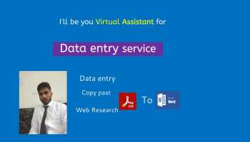 I'm Virtual assistant as data entry operator