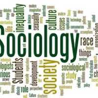 sociologist 