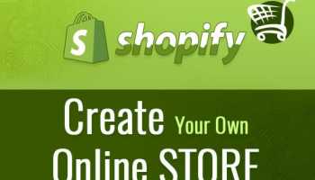 I will fix bugs, error and customize your shopify store