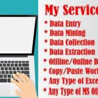 ms office and data entry