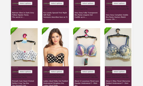 Snazzyway is India’s leading online lingerie retailer and wholesaler and providing over 78 brands lingerie products for women.