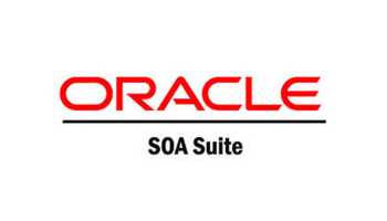 Oracle Fusion Middleware SOA OIC Installation Development Troubleshooting 