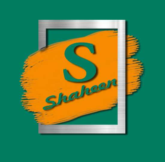 Shaheen V. - Programmer