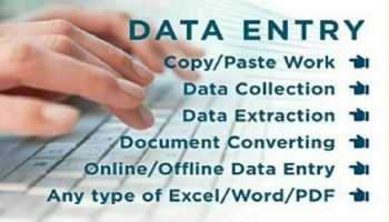 I will do data entry and copy paste job 