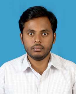 Padathala S. - software engineer