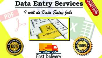 I will do data entry job for you. 