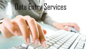 I will do Data Entry / Copy Paste / PDF to MS word or excel / Typing work / image to word or excel