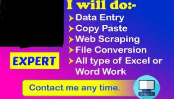 accurate do data entry, copy past, typing, and admin tasks
