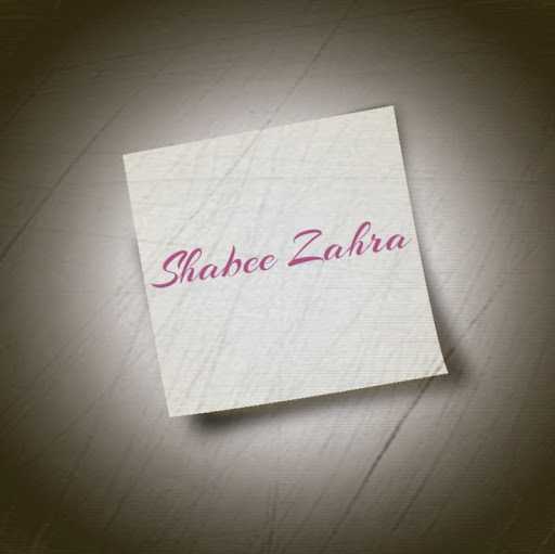 Shabee Z. - Developer