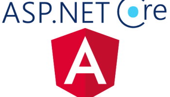 .NET Core Web API application using Angular