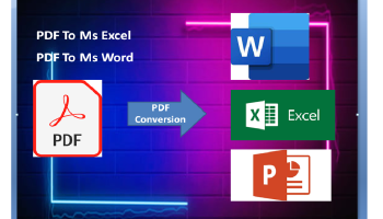 I will do conversion PDF to ms excel and ms word