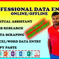 Web Researcher and Data Entry PRO
