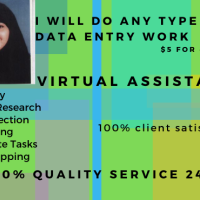  I will be an ideal virtual assistant