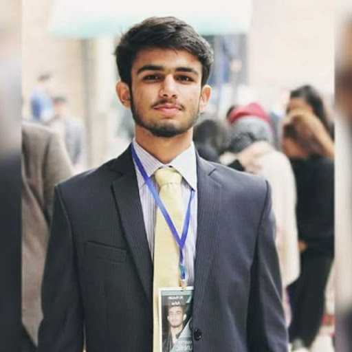 Hussain A. - online tutor