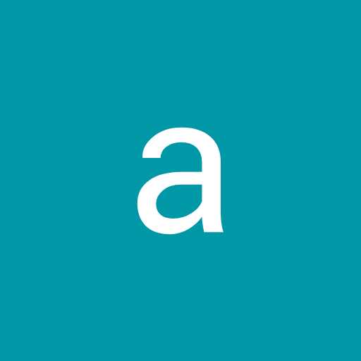 Amir A. - Web Designer/ Developer 