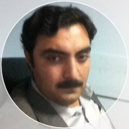Shahzad F. - System and Network Administator
