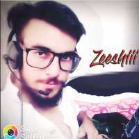 Zeesshhii V.