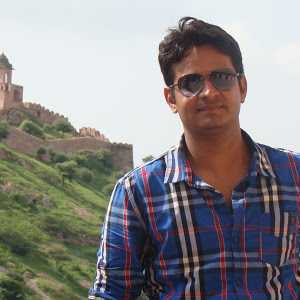 Rahul S. - Senior WordPress developer