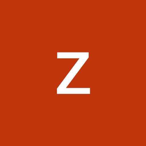Zyain Z. - data entry 