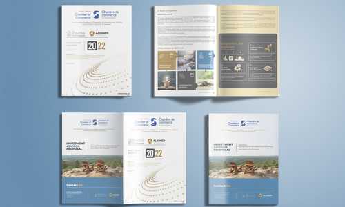 Multiple page booklet for a request for proposal (RFP) 