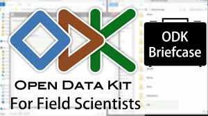 Creating field questionnaires using Open Data Kit 