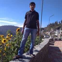 Vishal K. - Mechanical Engineer