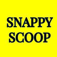 Blogger at SnappyScoop