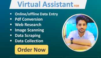 virtual Assistant | Data Entry | PDF Conversion | Web Research | Data Scrapping