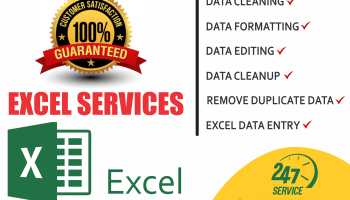 I will Clean , Organize and merge excel data