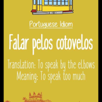 Spanish Portuguese English exchanger