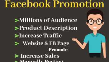 I will do total facebook marketing and social media ads
