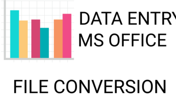  Data Entry, File conversion and Ms office.