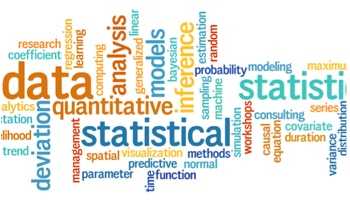 I can do your Statistical Data analysis