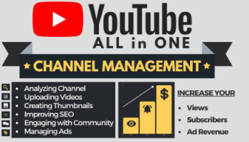 I will manage youtube channel, seo, video, ads, all in one service
