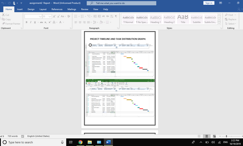 Microsoft project professional Task distribution and charts