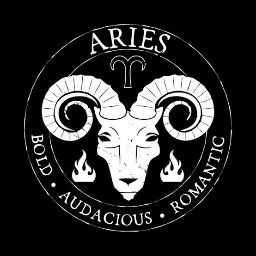 Aries B. - Multilingual Business Analyst and Translator