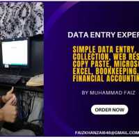 Data Entry Operater 