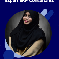 ERP Consultant
