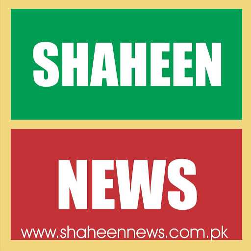 Shaheen N. - online work any