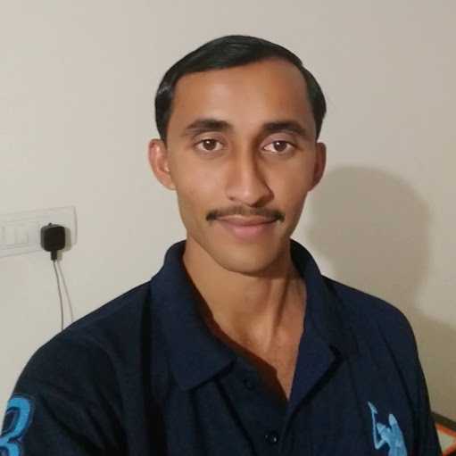 Vinayak P. - UI Developer