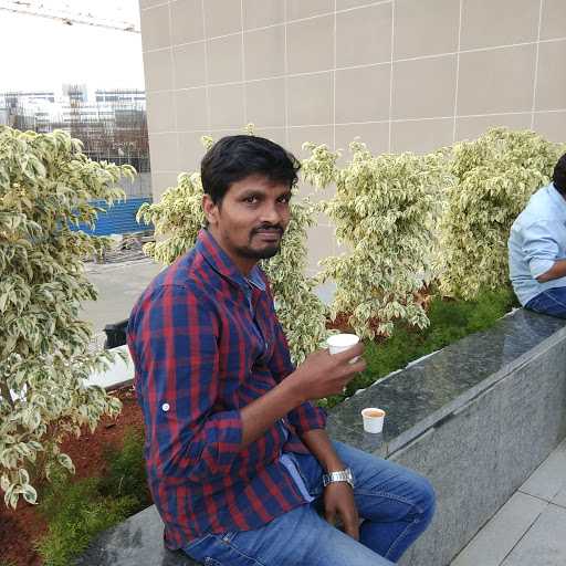 Krishna Reddy R. - Senior Software Engineer