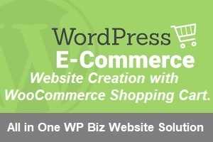 Wordpress Dev - WordPress Web Developer from Domain to Hosting, Web Design, Ecommerce, SSL, Email, SEO &amp; Social Media Expert
