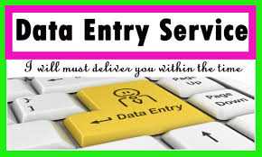 Data Entry in 24 Hours