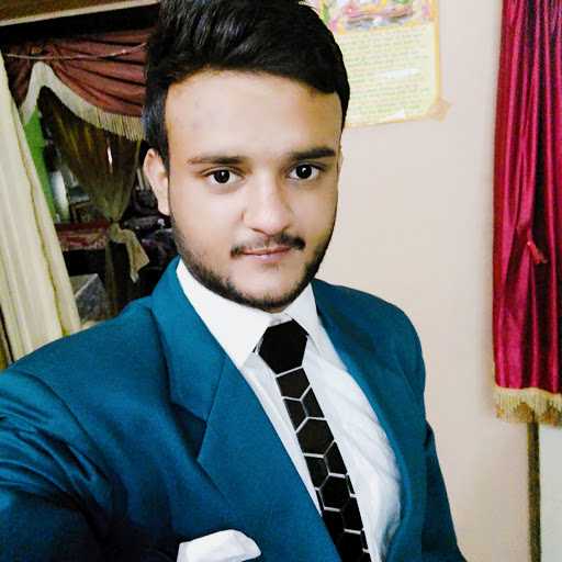Pushkar V. - Business / Data analyst