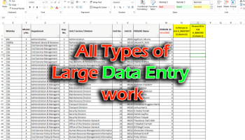 Data Entry Expert of all kind