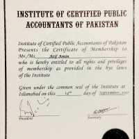 Certified public accountant(CPA) and MBA(Finance) 