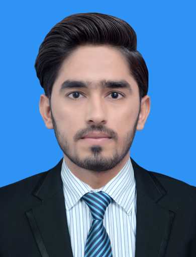 Zain A. - Chartered Accountant