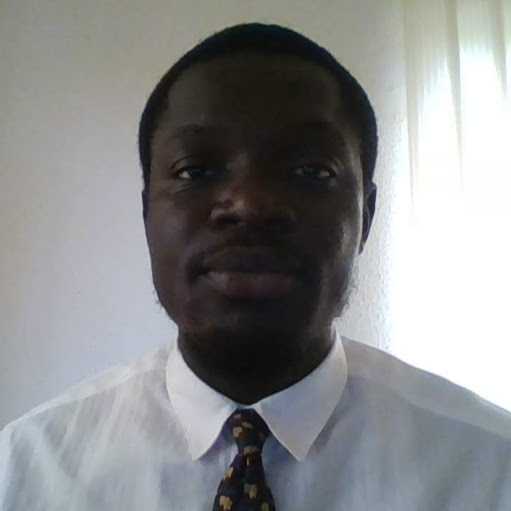 Olabode O. - Data Analyst and Academic Writer
